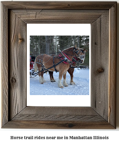 horse trail rides near me in Manhattan, Illinois